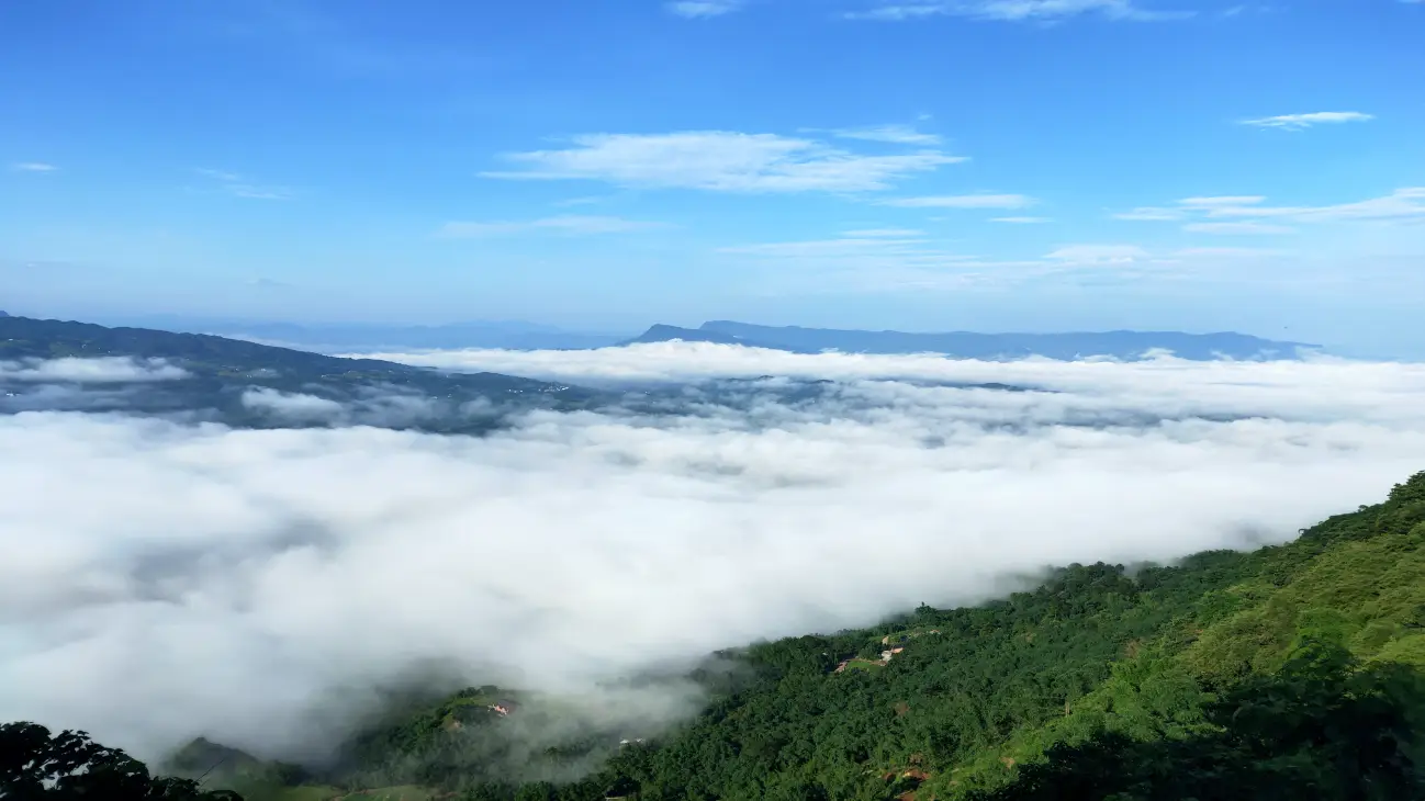 助推地方经济_助推当地经济发展_助力当地经济