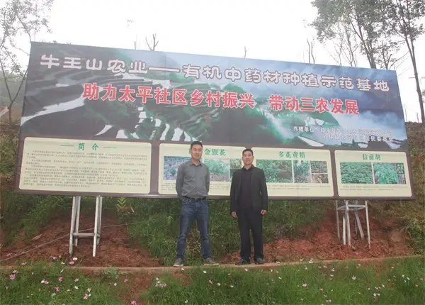 助推地方经济_助推当地经济发展_助力当地经济