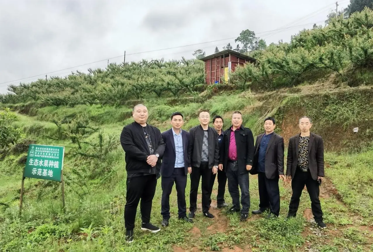 助推当地经济发展_助推地方经济_助力当地经济