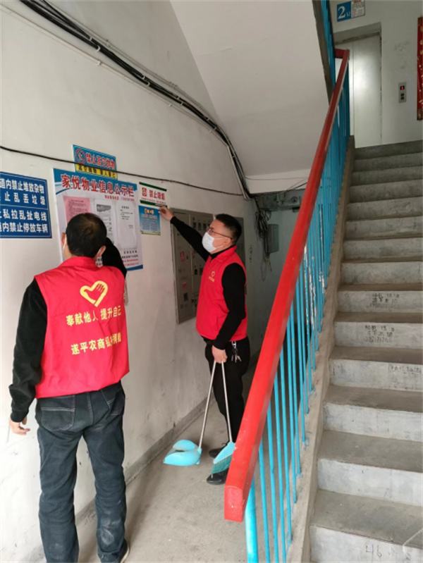 遂平县烟草专卖局 志愿服务 榜样学习_遂平县 杨新宇