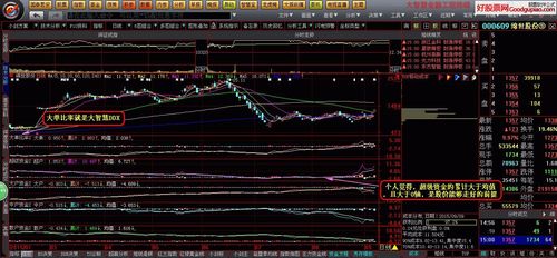 大智慧365level2价格咨询_大智慧365level2费用详解_大智慧level2多少钱