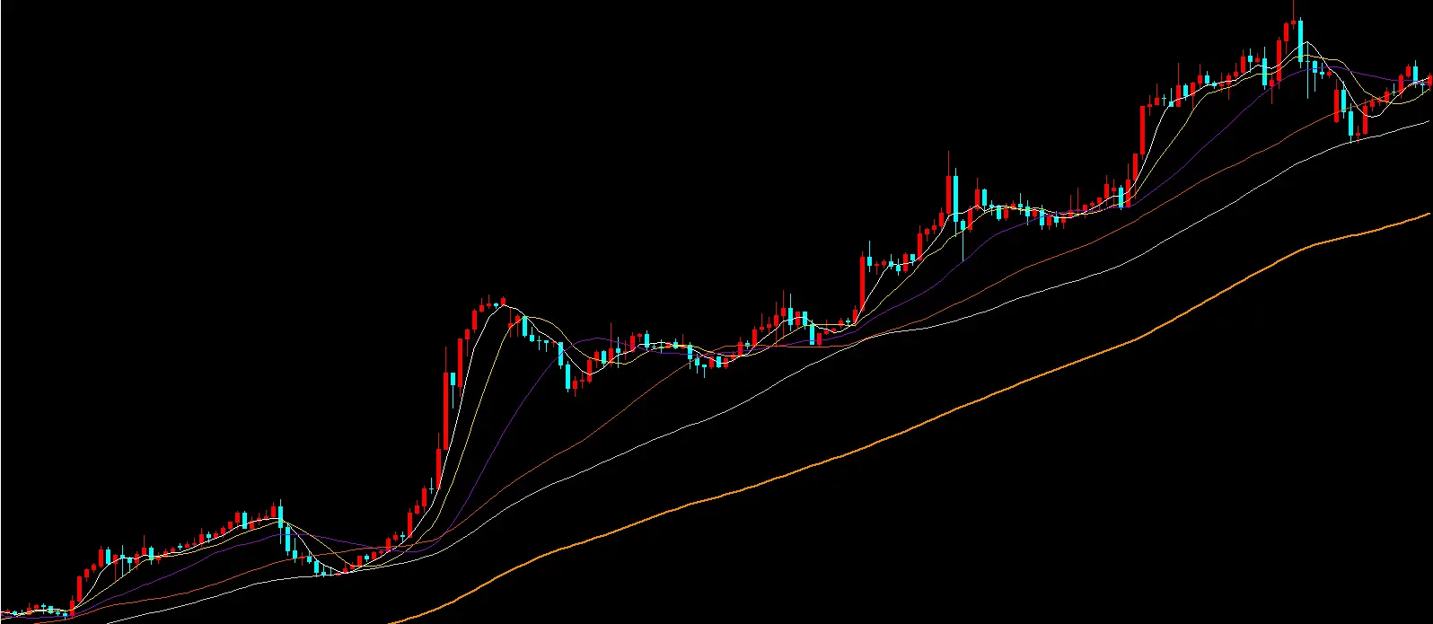 交易理性与赌性_股票外汇的区别_客观市场分析