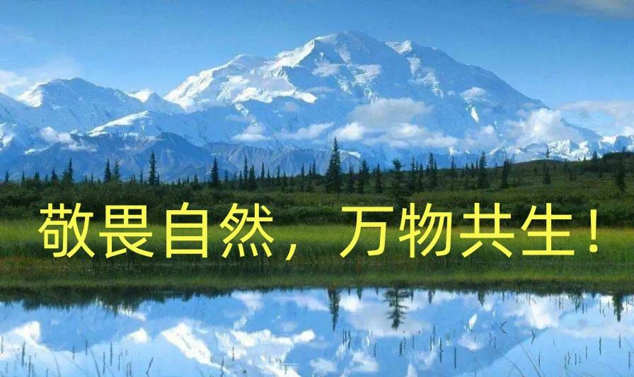 股票外汇的区别_交易理性与赌性_客观市场分析