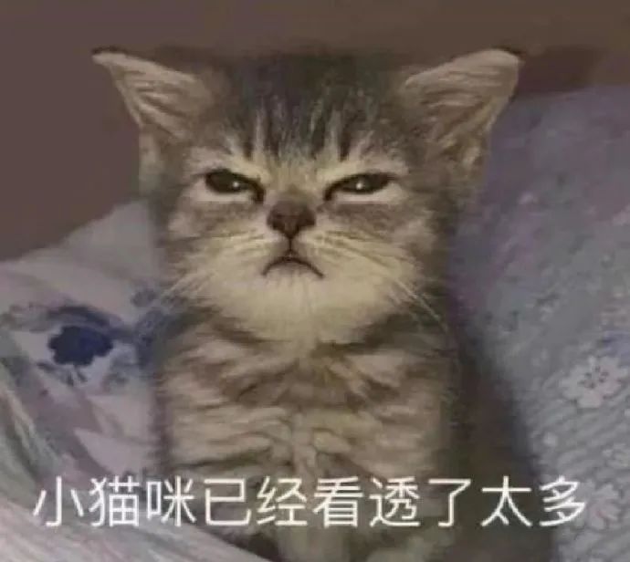 民生银行何时分红_民生银行2021年度分红_民生银行分红时间