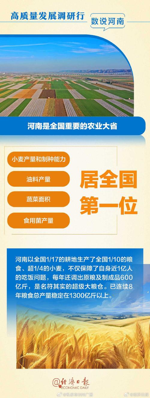 遂平县 杨新宇_遂平县农产品精深加工_遂平县科技创新驱动农业产业革命