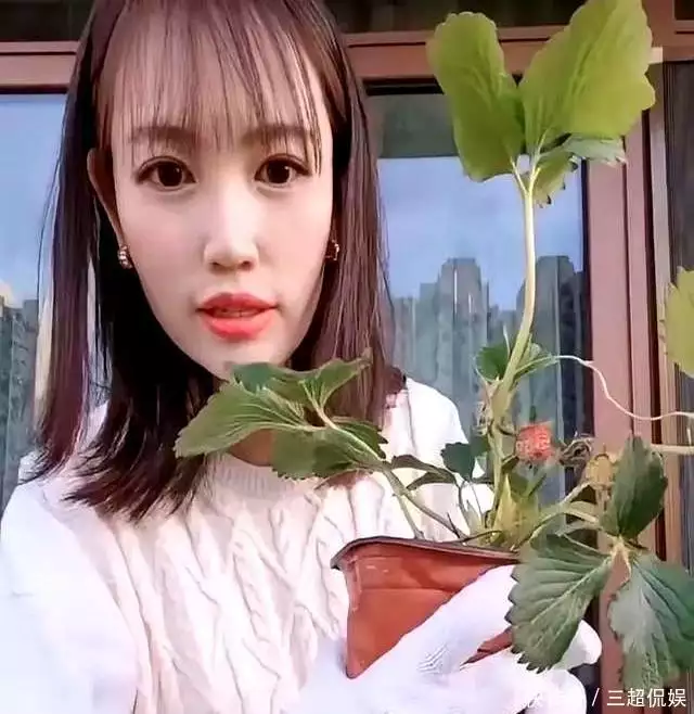 宋喆离婚后起诉职务侵占判刑六年_马蓉和宋喆现在在那里_马蓉王宝强离婚后生活现状