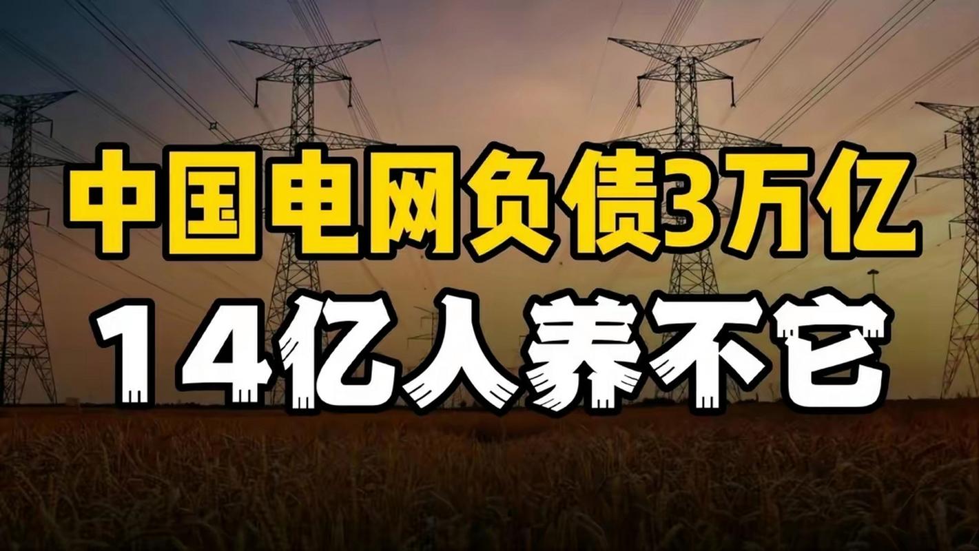 电力市场化改革_发电企业应对策略_华电集团发债
