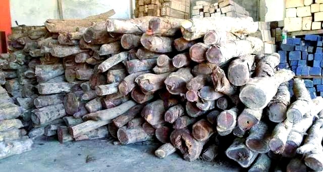 红木市场旺季遇冷：价格下滑、交易缩减，木材市场整体趋稳