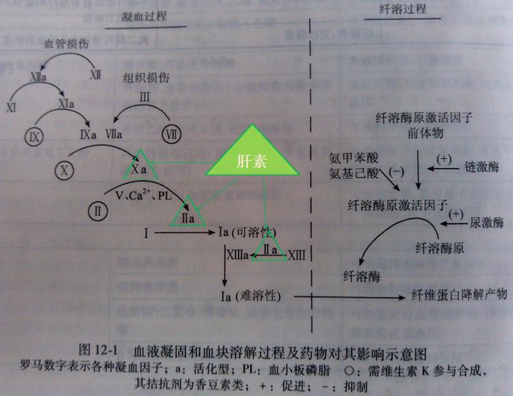 低分子肝素钙价格_低分子肝素抗凝作用机制_普通肝素与低分子肝素区别