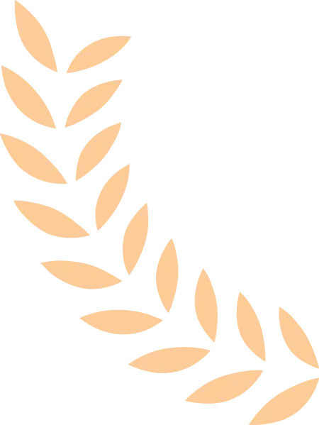 国立上海商学院_上海财经大学发展历程_上海财经大学校史
