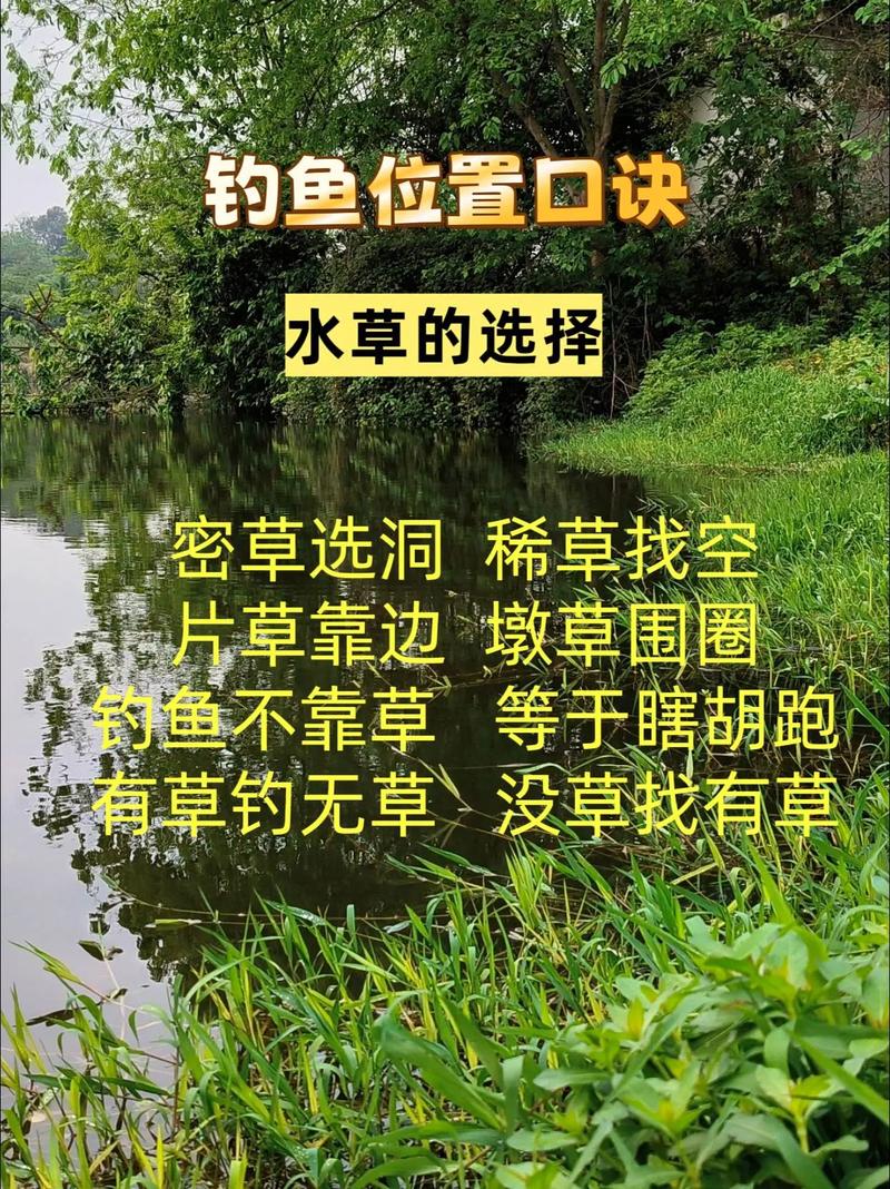 秋季水库钓鱼技巧_三板溪水库好钓鱼吗_秋季水库钓鲤鱼方法