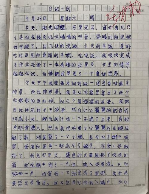 _ 西红柿炒鸡蛋作文范文 _洗盘子的作文