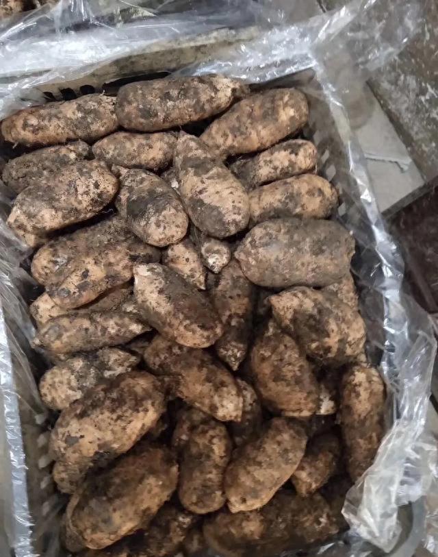 种天麻还能赚钱吗？新政策下，补贴诱人但门槛也高