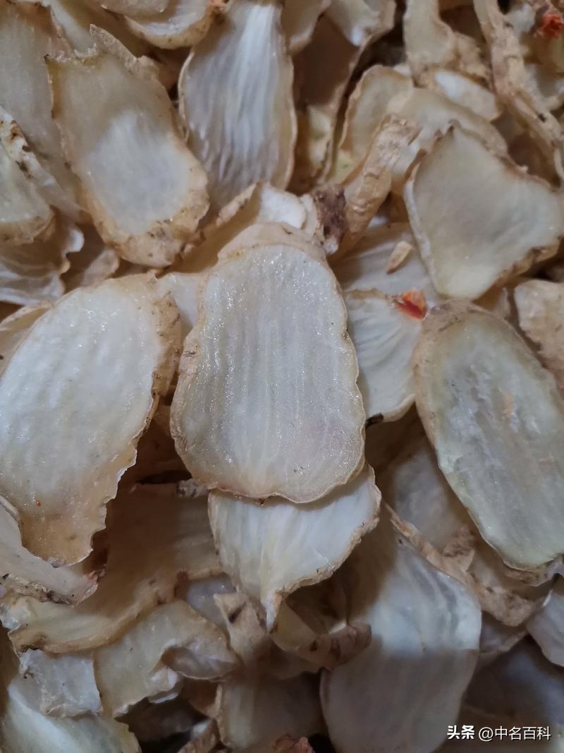 天麻种植条件_种天麻技术_生财有道天麻种植视频