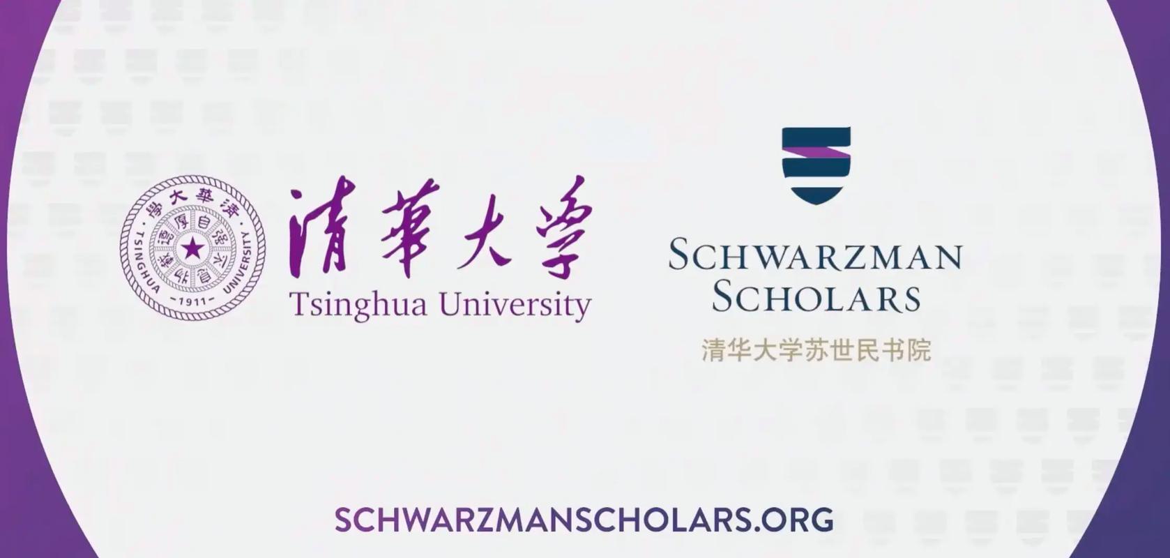 清华大学苏世民项目_清华大学苏世民学者项目_苏世民书院毕业生