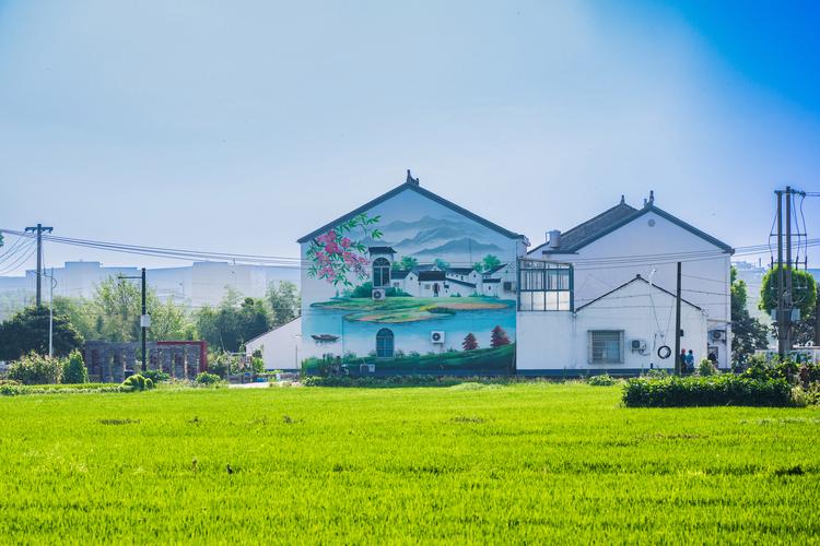 江苏省特色田园乡村试点村庄_乡村规划设计_江苏特色田园乡村建设