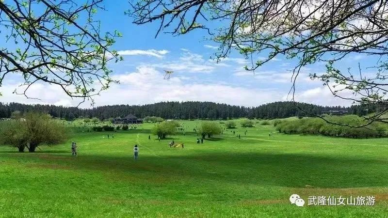 重庆旅游景点推荐_重庆必去景点攻略_重庆总部城房价