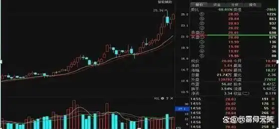 止损技巧_投资策略_龙头股洗盘方式