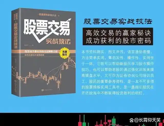 龙头股洗盘方式_投资策略_止损技巧