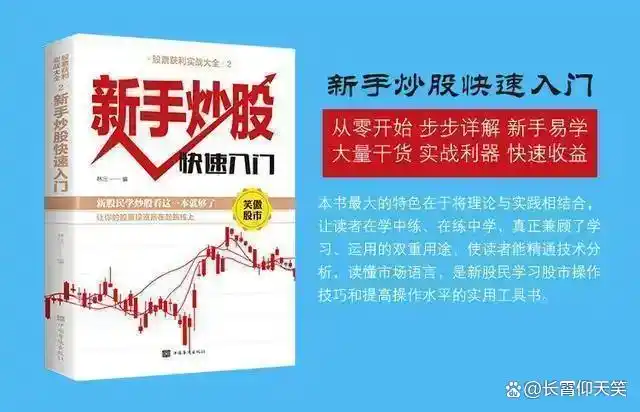 止损技巧_投资策略_龙头股洗盘方式