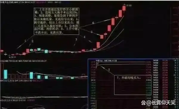 投资策略_止损技巧_龙头股洗盘方式