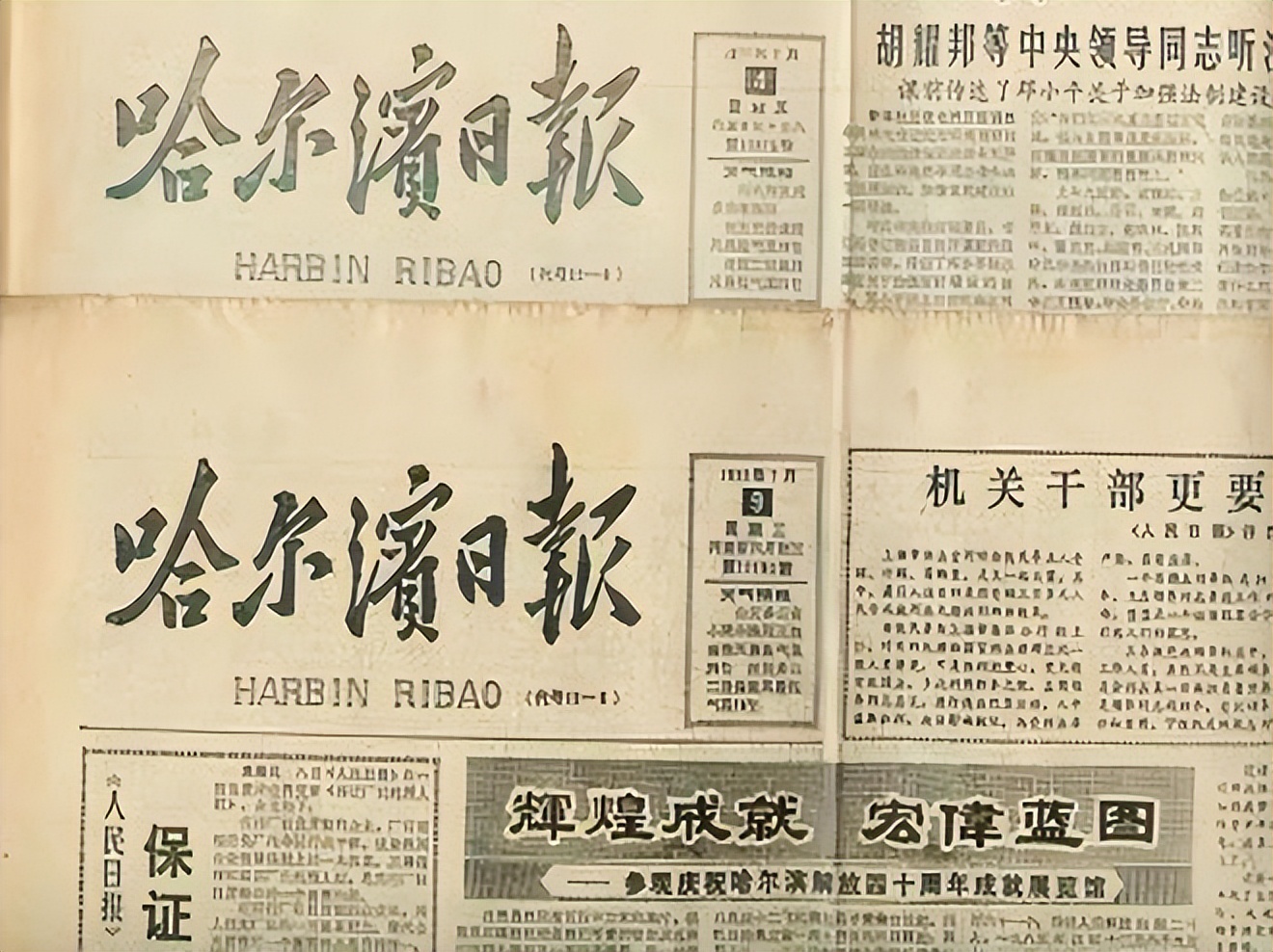 戴秀丽 黑龙江女首富 离婚原因_戴秀丽简历小学那上的