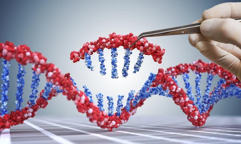 科学进步驱动力_科学与技术关系_watson-crick