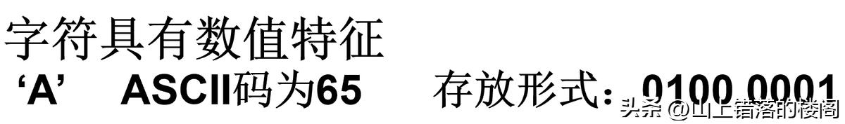 C语言基本数据类型_C语言构造数据类型_数据存储类型