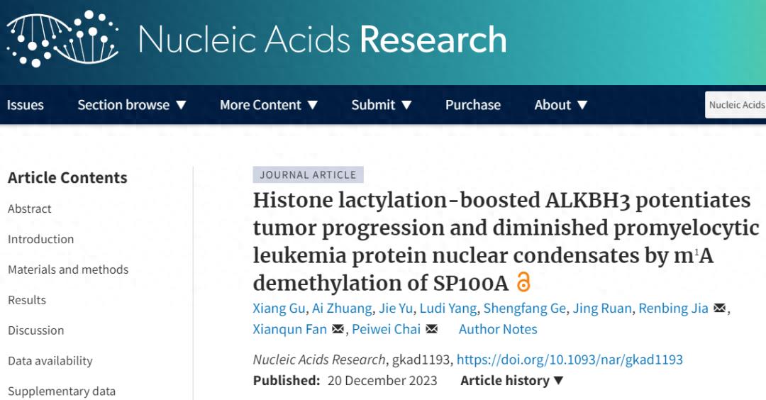 组蛋白乳糖化ALKBH3肿瘤进展m¹A去甲基化_N¹-甲基腺苷m¹A修饰肿瘤发生作用_watson-crick