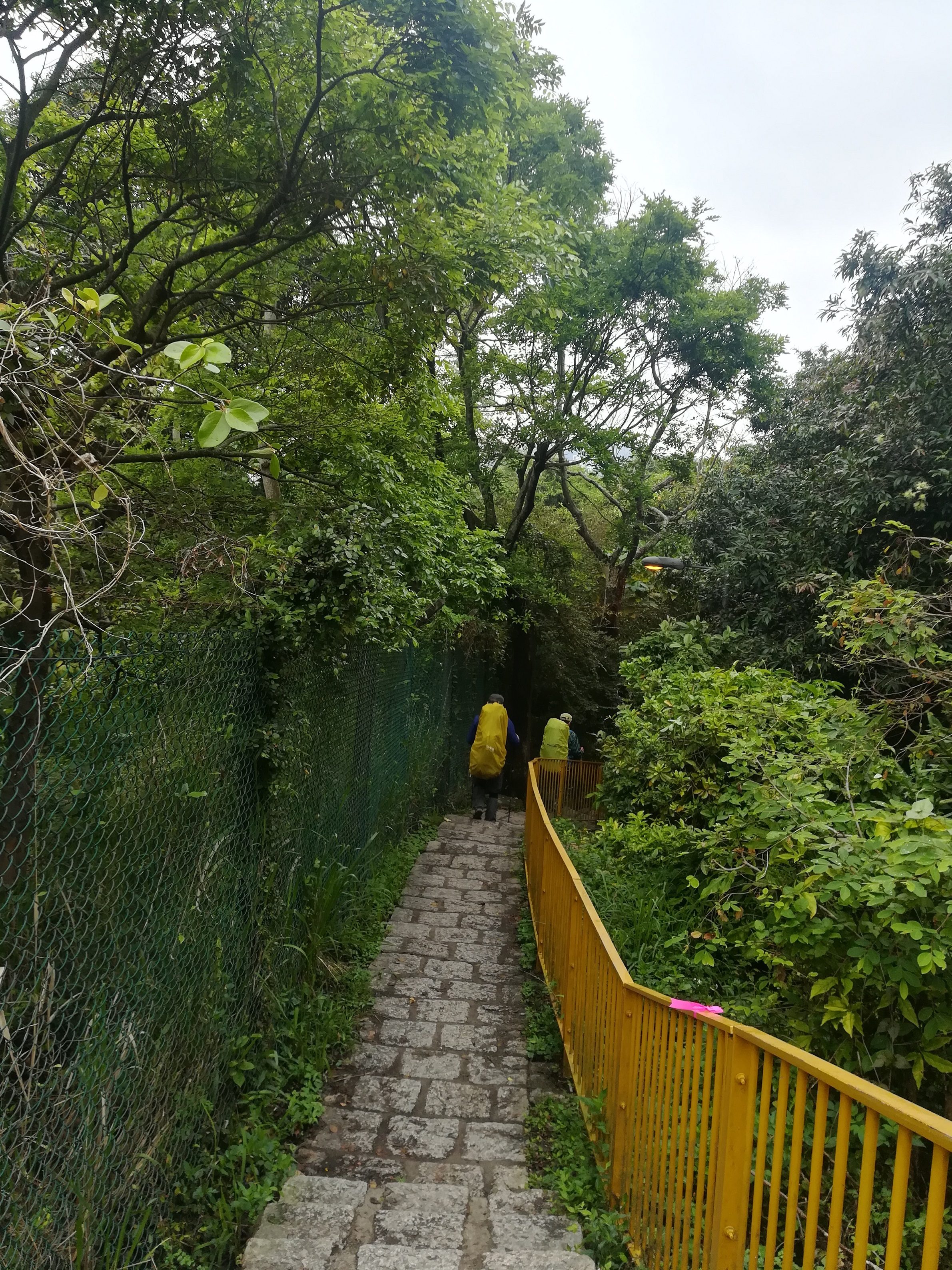 香港徒步路线_麦理浩径攻略_香港麦理浩径起源