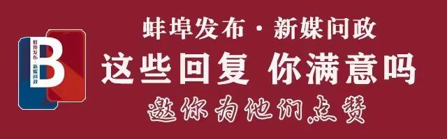 蚌埠市淮上区2026规划_蚌埠发布新媒问政交通类问题解答_蚌埠市重点工程项目进展查询