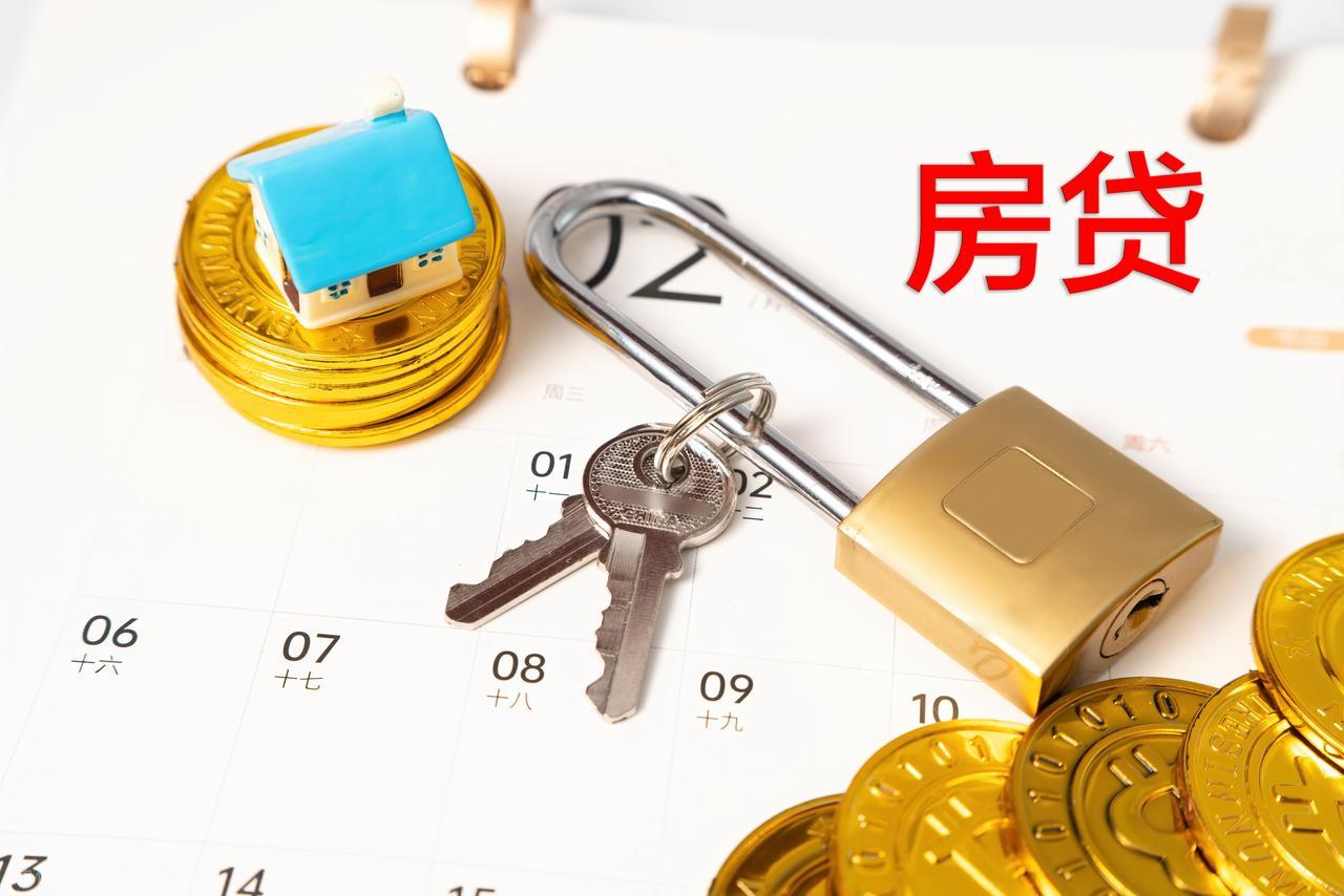 中国居民个人住房贷款余额下降_中央银行资产负债表_央行胡晓炼居民债务压力房贷