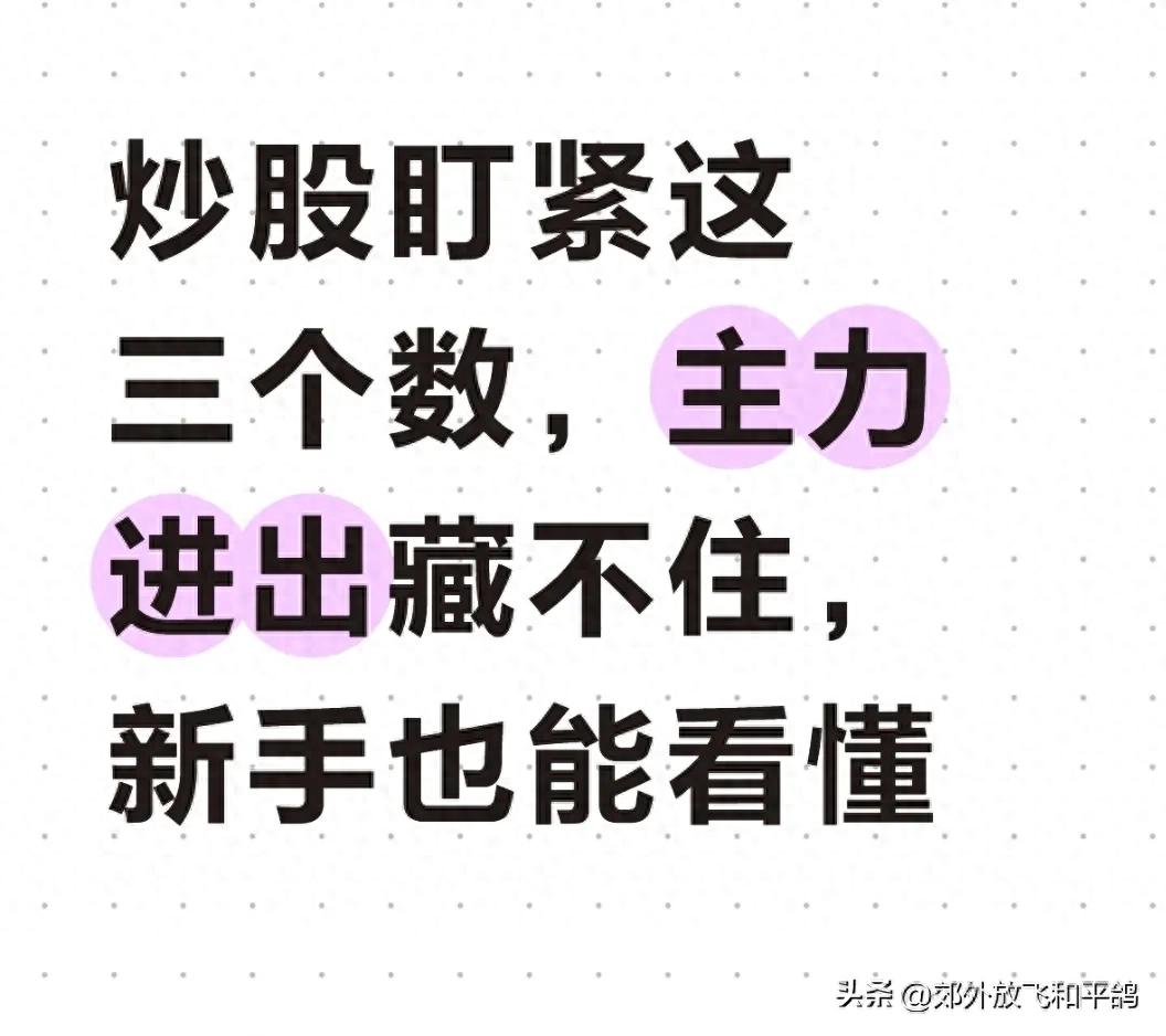 炒股怕被主力骗？量比+换手率+成交额三指标助你避开陷阱