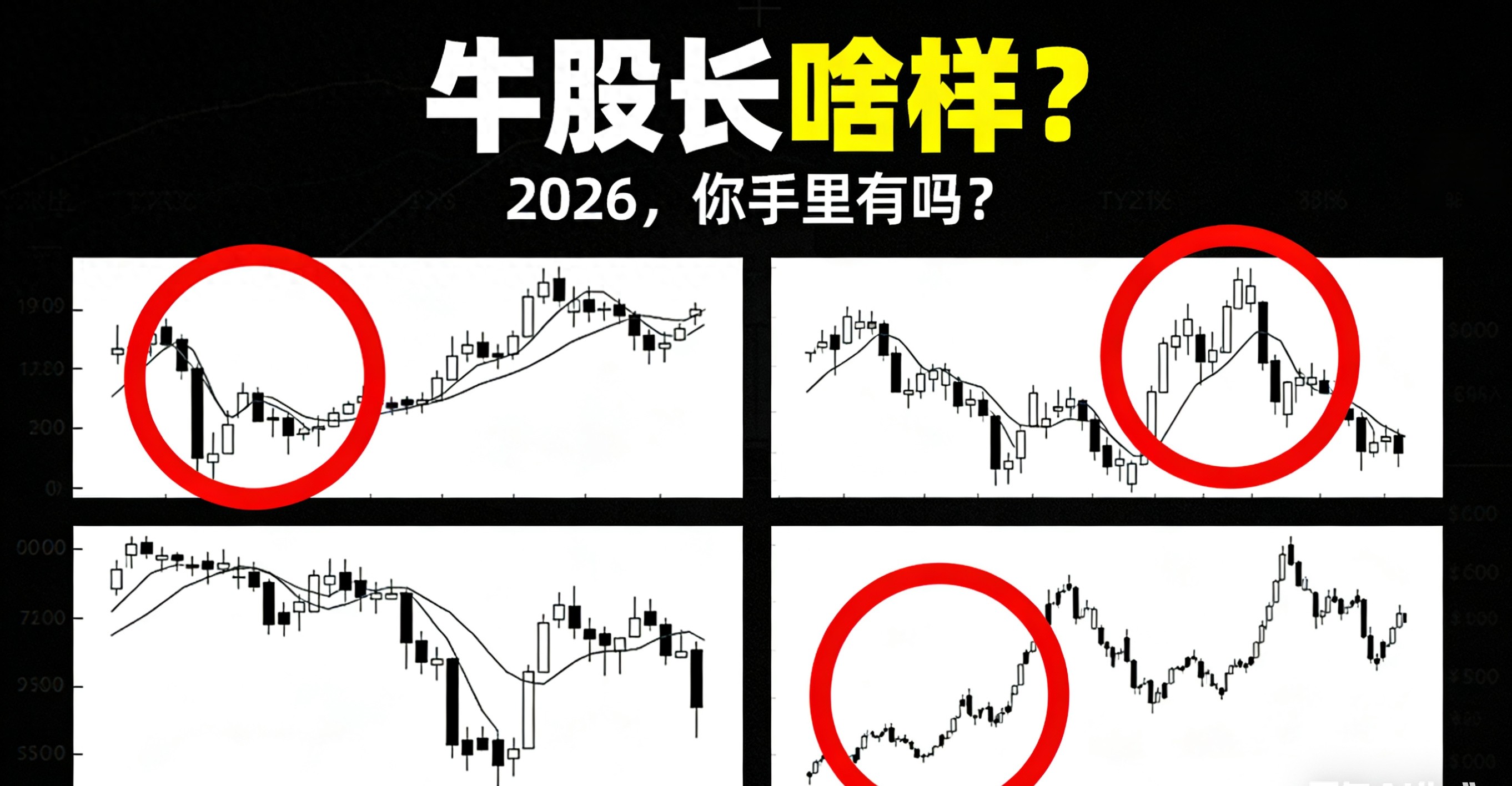 怎样发现牛股？分清龟速牛和疯牛，别被套