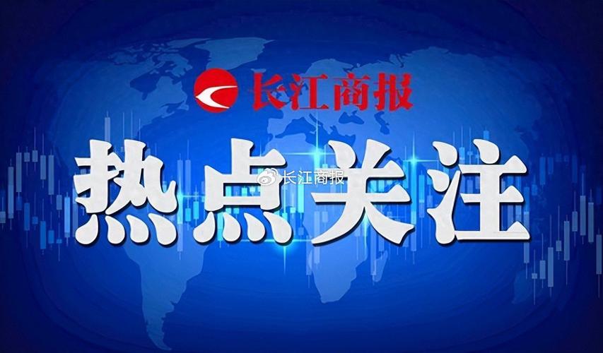 000571新大洲最新消息_新大洲A债务诉讼 长城资管起诉 新大洲A财务困境