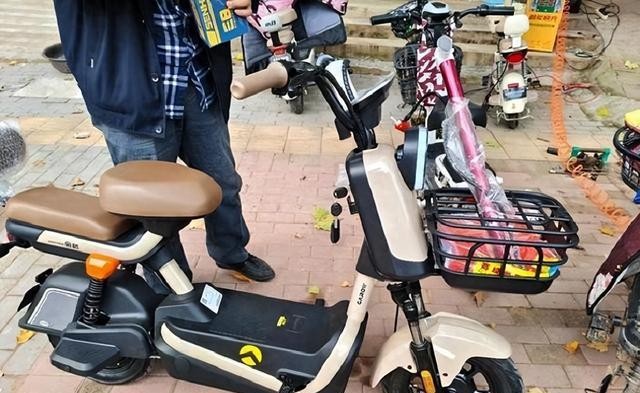 电动自行车的发展史_新国标电动车口碑提升_旧国标电动车问题解决