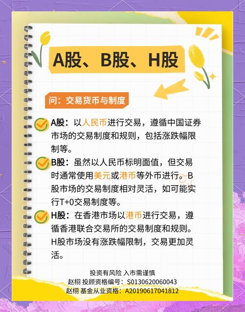 a股 b股 h股 n股 s股_A股人民币普通股票_B股人民币特种股票